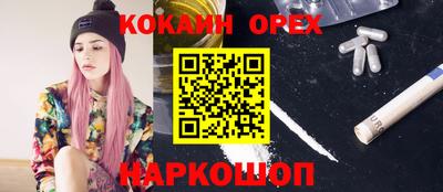 шишки Тулун